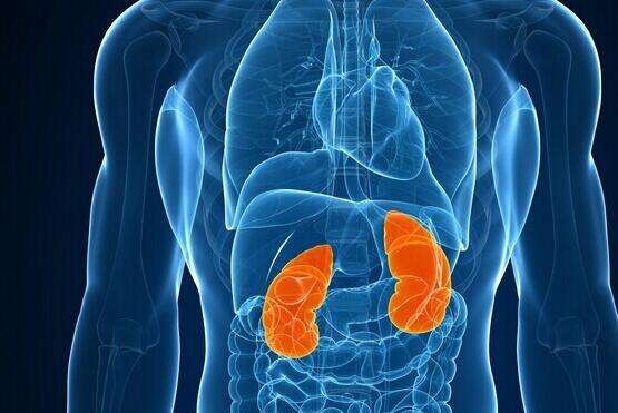 血管科普系列（一）下肢肿胀—令人忽视的血管-淋巴管因素！