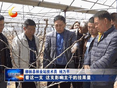 柳林财政所进村入户听民声解民忧,柳林开展入企进村服务工作