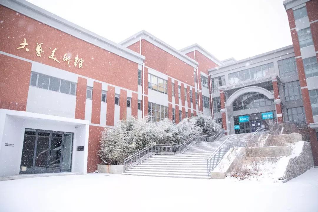 民办学校大连艺术学院全国排名,大连艺术学院辽宁排名