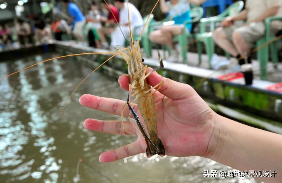 美丽乡村的盈利项目,美丽乡村项目的成功案例