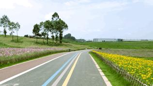 双流空港花田最新进展,双流空港花田开放了吗最新回复