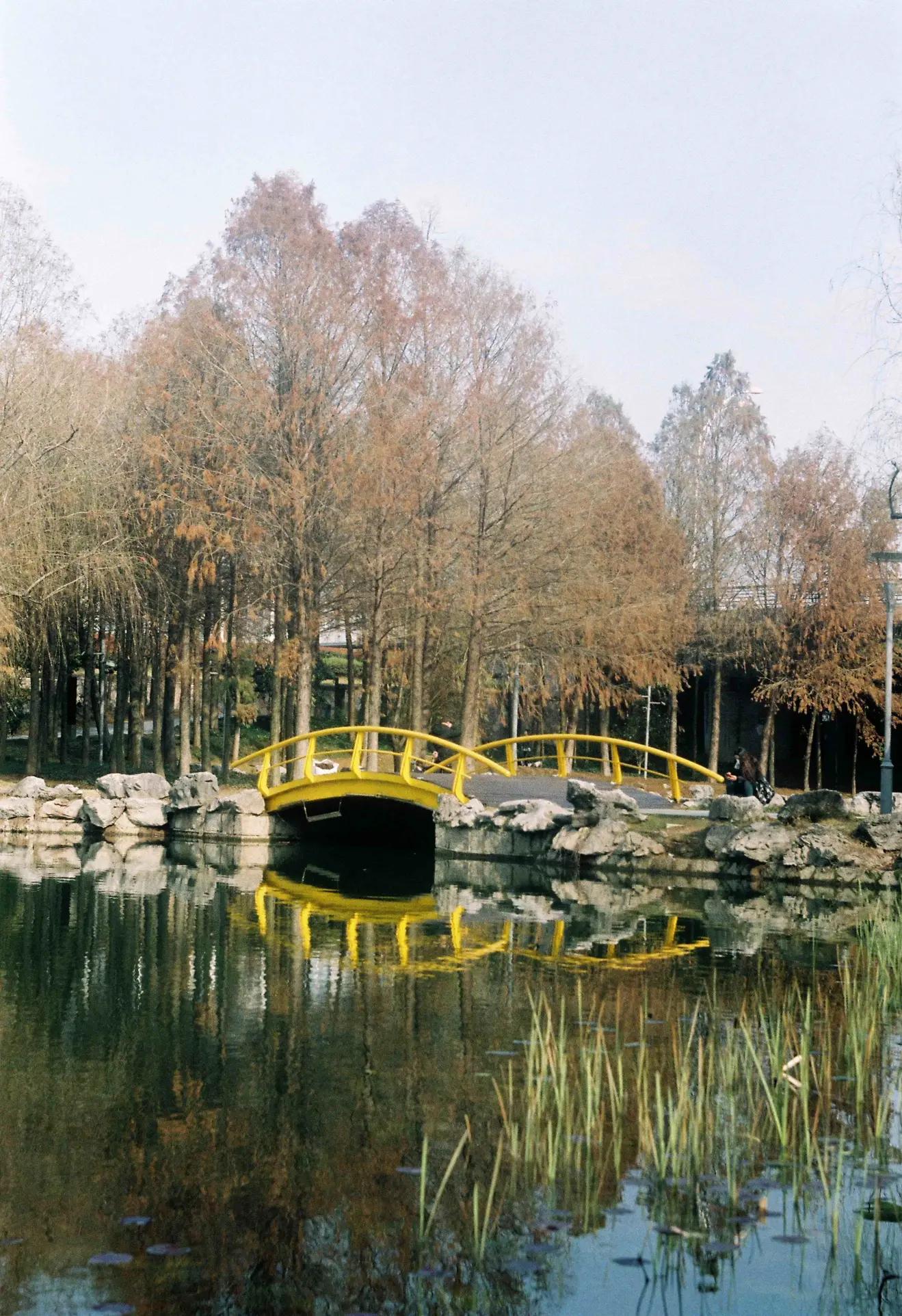 是谁发明了彩色相机,康泰时相机发展史