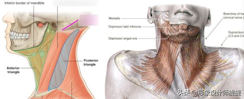 学生怎么让方脸变小v脸,脸大脸宽怎么科学变小