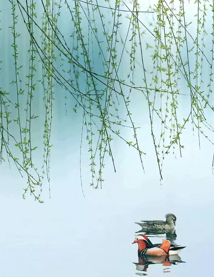 【美文共享】春天，人间皆可爱