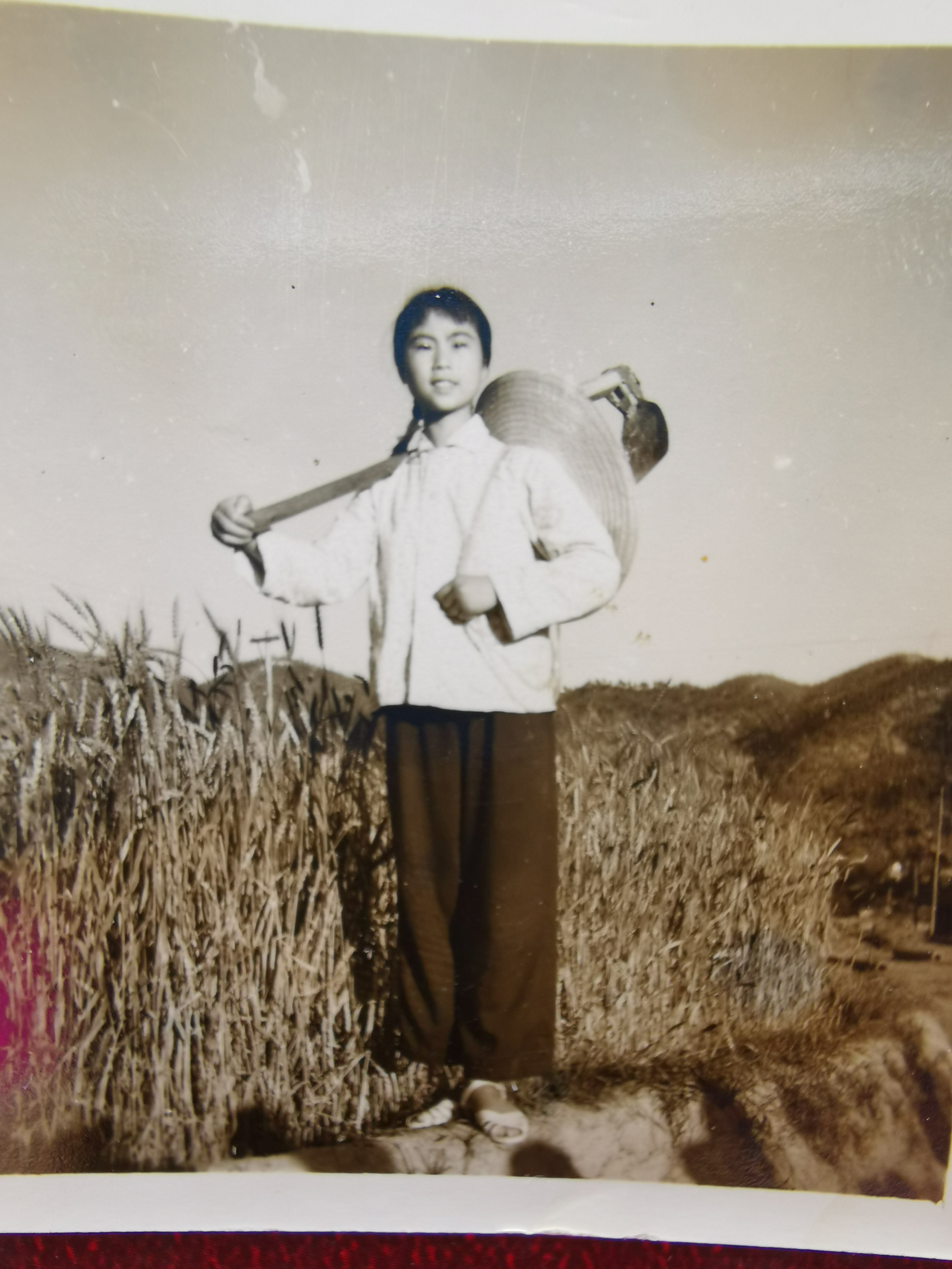 已走过的路无需回头看,已走过的路回不去