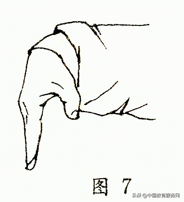 九宫旋转十二桩法,九宫八卦如何旋转