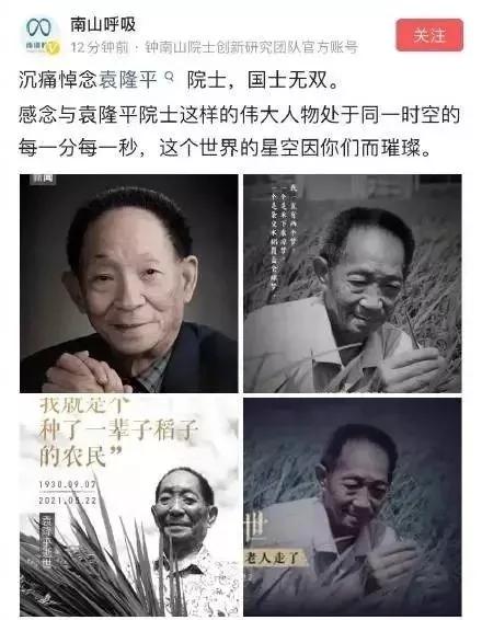 悼念袁隆平院士朗读,袁隆平院士逝世原创诗词