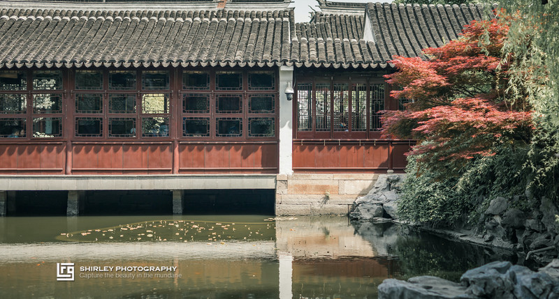 苏州旅游最不能错过的江南园林,留园拙政园是苏州著名的园林