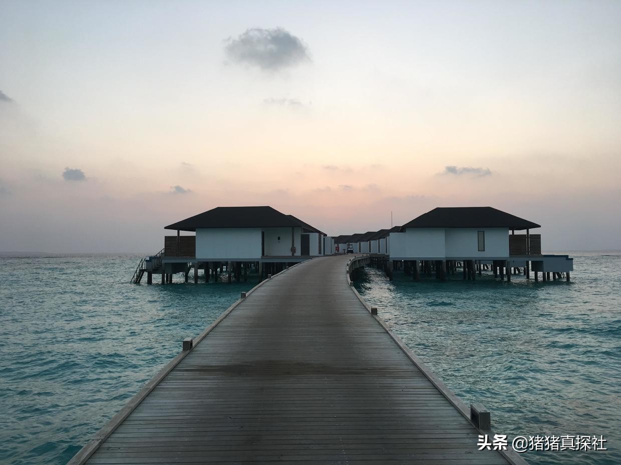 马尔代夫努努岛旅游攻略,马尔代夫鲁滨逊努努岛浮潜