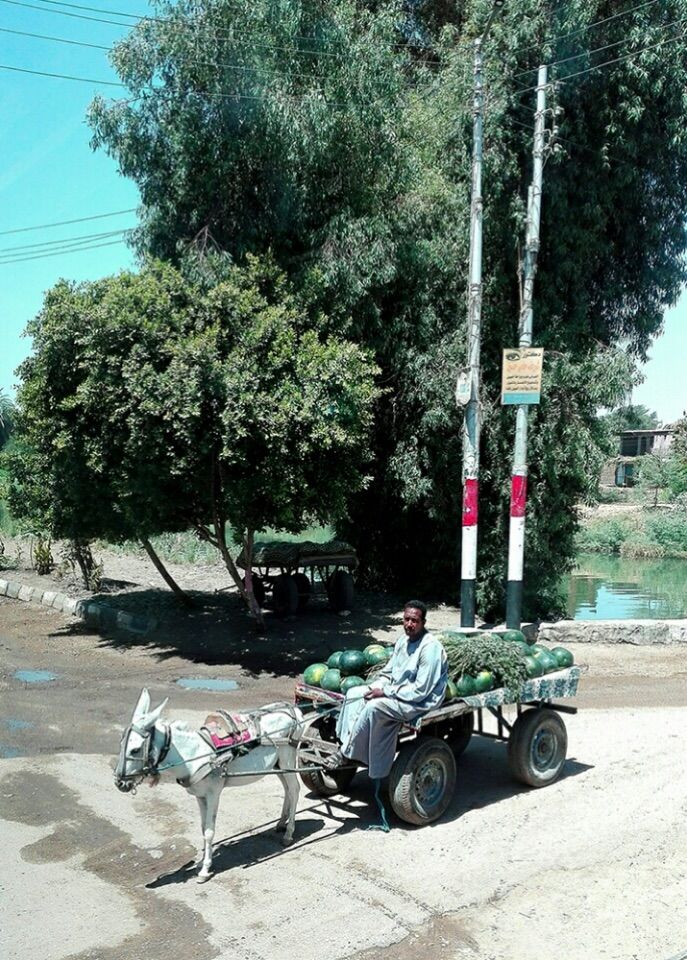 埃及一个古老又神秘的国家,埃及最古老神秘的遗址