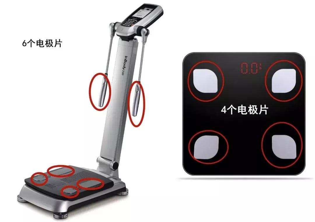 摇一摇减肥工具,减肥工具振动器