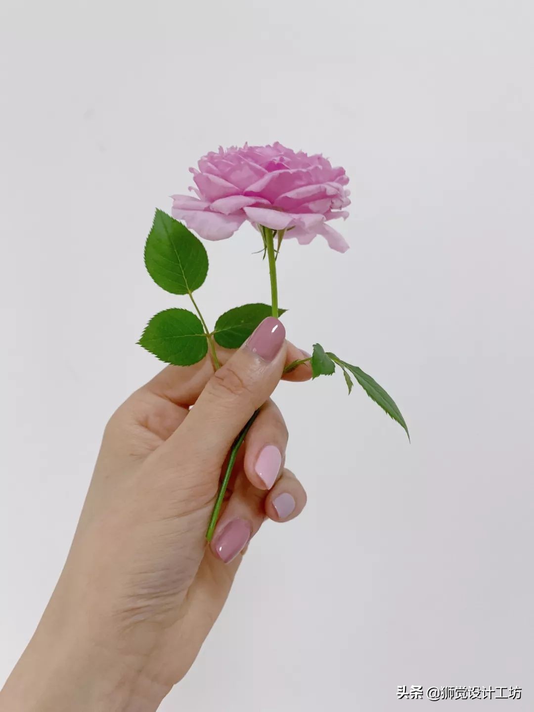 高手出品,纯干货看完这篇别再说你不懂配色