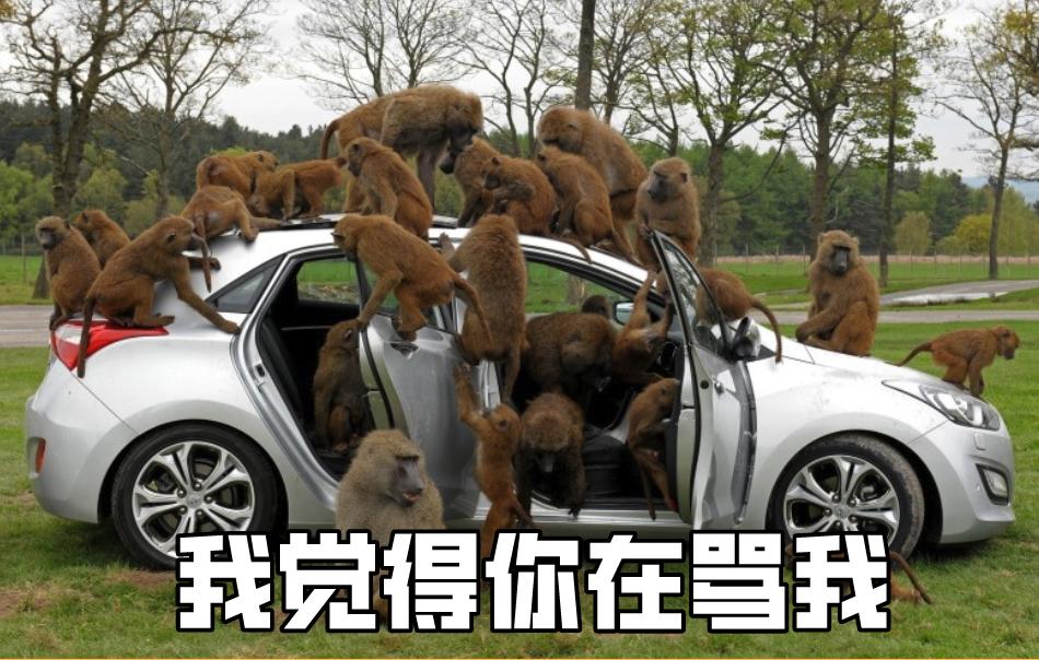 多动症孩子有攻击性怎么处理,熊孩子多动症有哪些表现