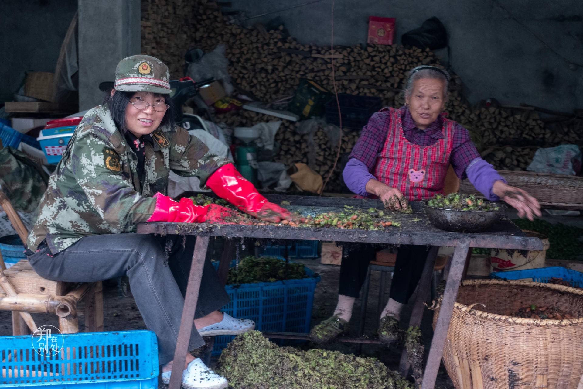 香榧古道,香榧古道徒步路线哪条景色美