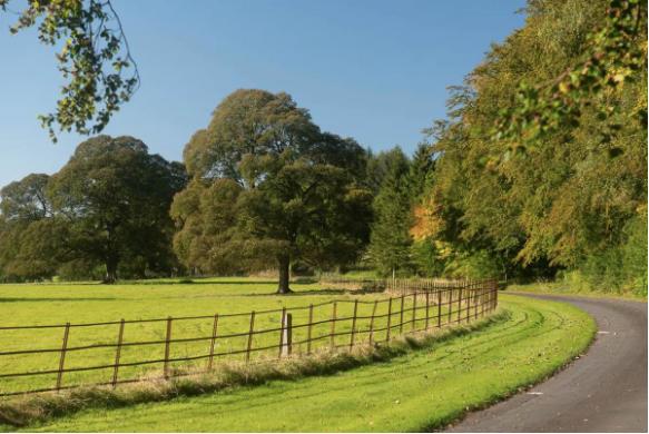 英国伦敦50亩的庄园别墅出售,英国300亩庄园出售