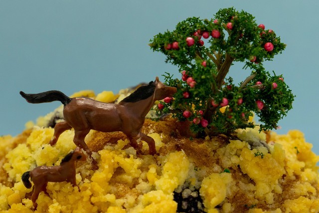 佳能eosrp套机rf24-105mmf4,佳能rf24-105mm评测