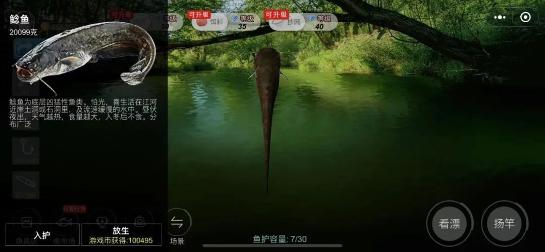 实况钓鱼新手池怎么钓稀有鱼,实况钓鱼钓巨物视频