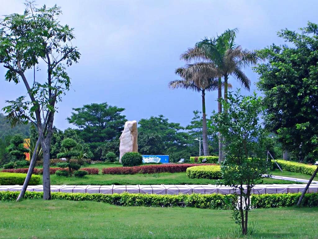 新会纪事,新会做账