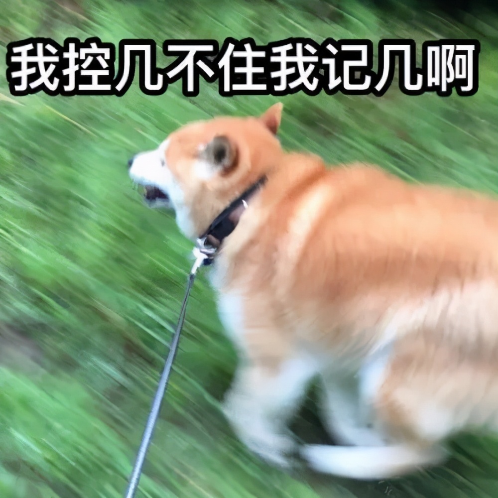 狗吃了毒香肠多久发作,狗误食毒香肠