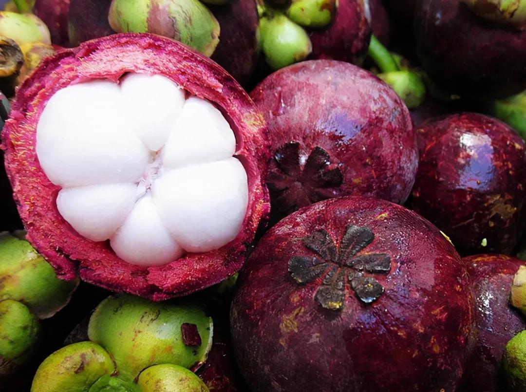 山竹怎么挑选才好吃又甜,山竹选购秘籍挑选一颗完美的山竹