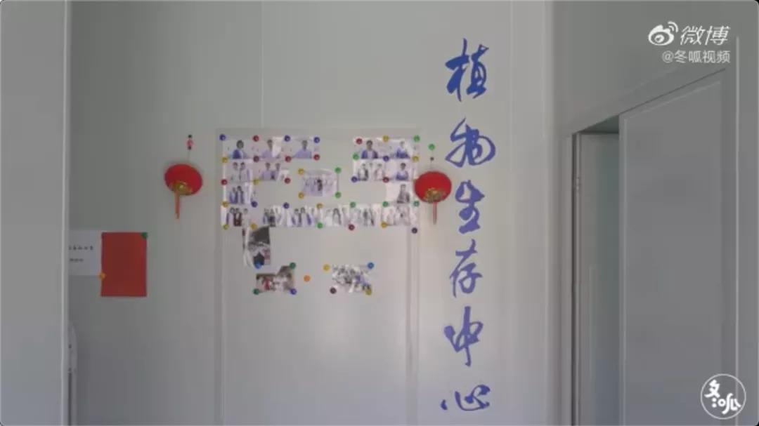 植物人托养机构设计,偏瘫植物人托养院