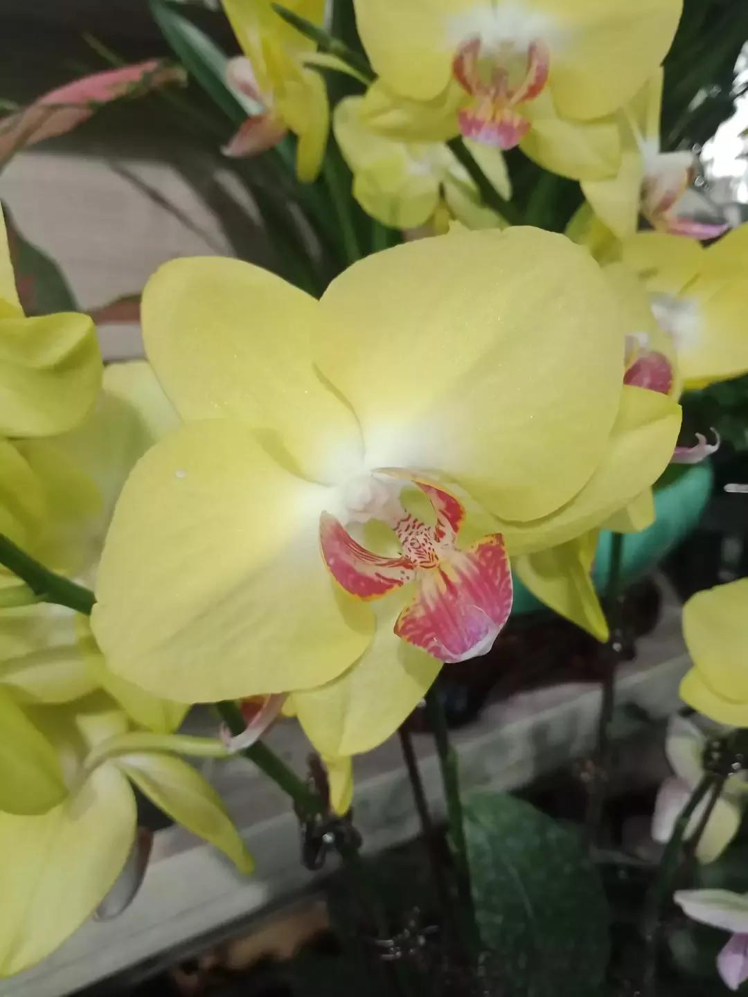 人睡着后不盖被子会着凉吗,人睡觉时为什么要枕枕头