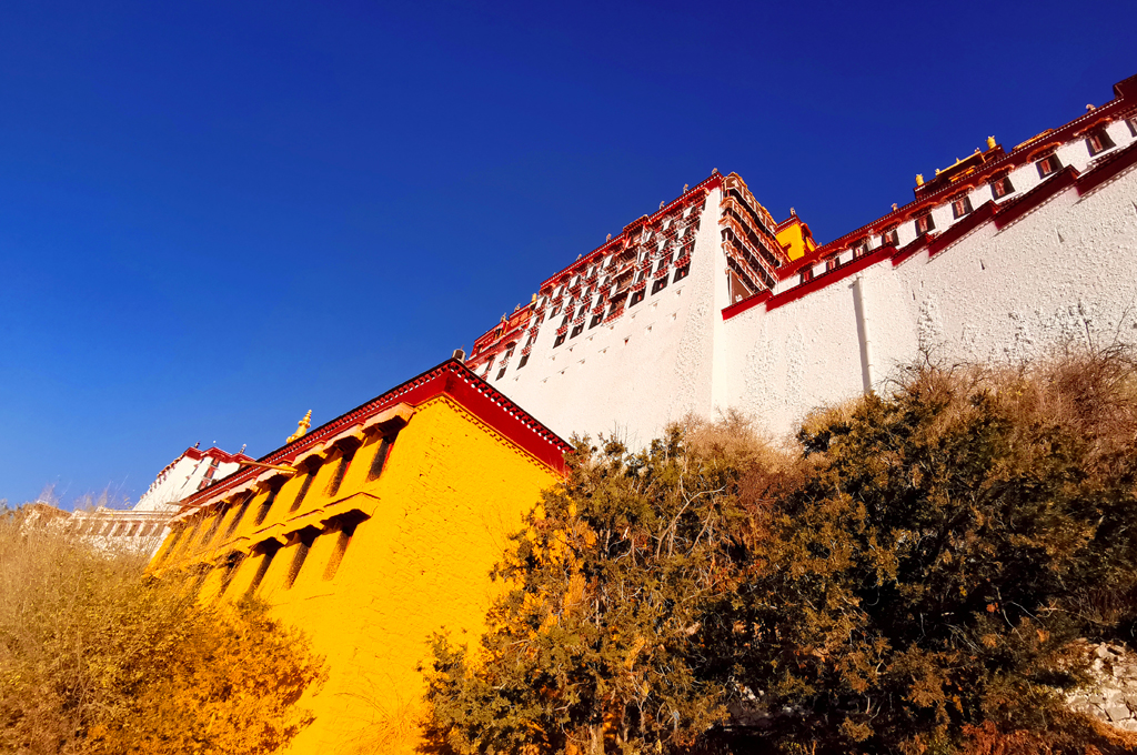 即使在路上走走，*藏西**风情也能让你流连忘返