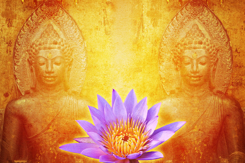 遇到冷淡的老婆怎么办,遇到刁蛮的老婆该怎么办