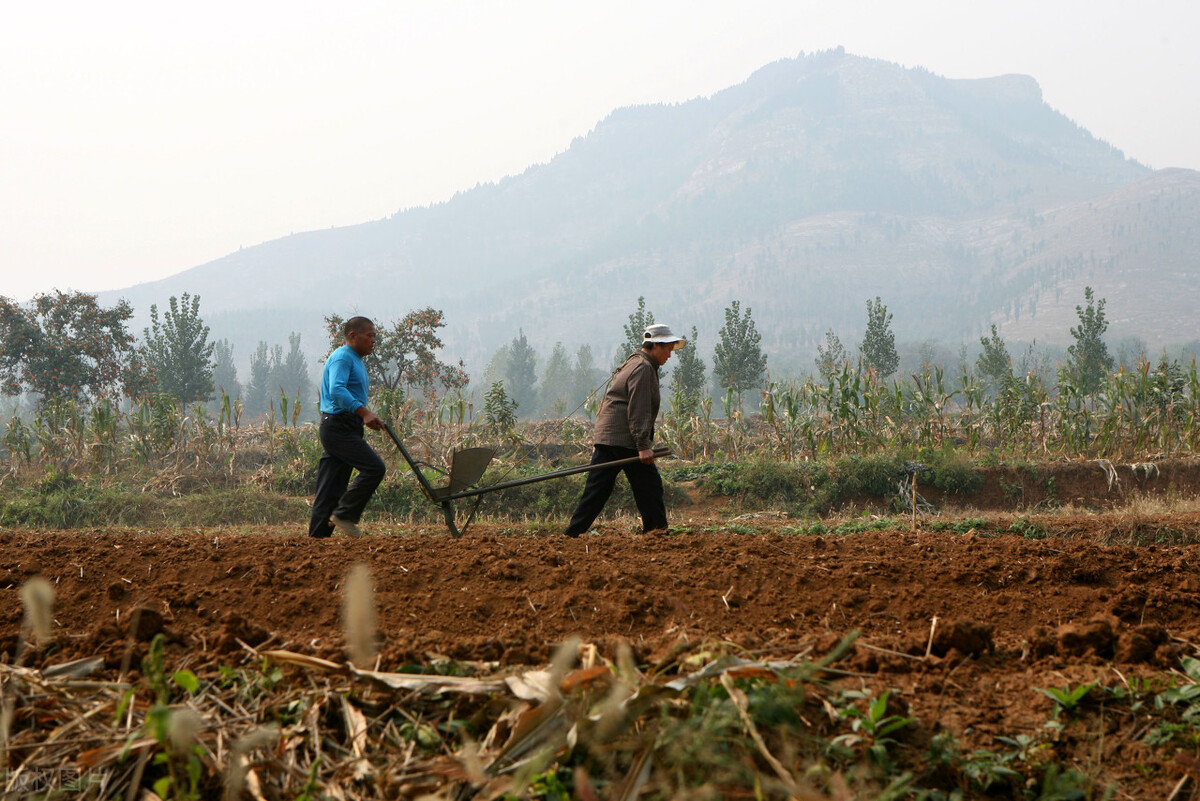 农村耕地做光伏的危害,基本农田建光伏的危害