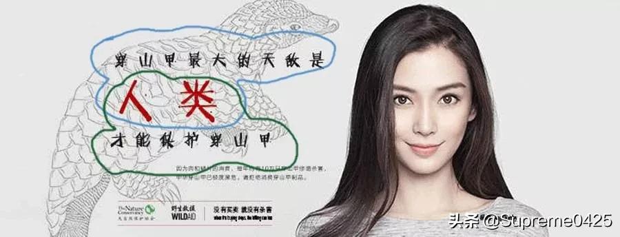 吃野生穿山甲的后果,吃了穿山甲会有什么法律后果