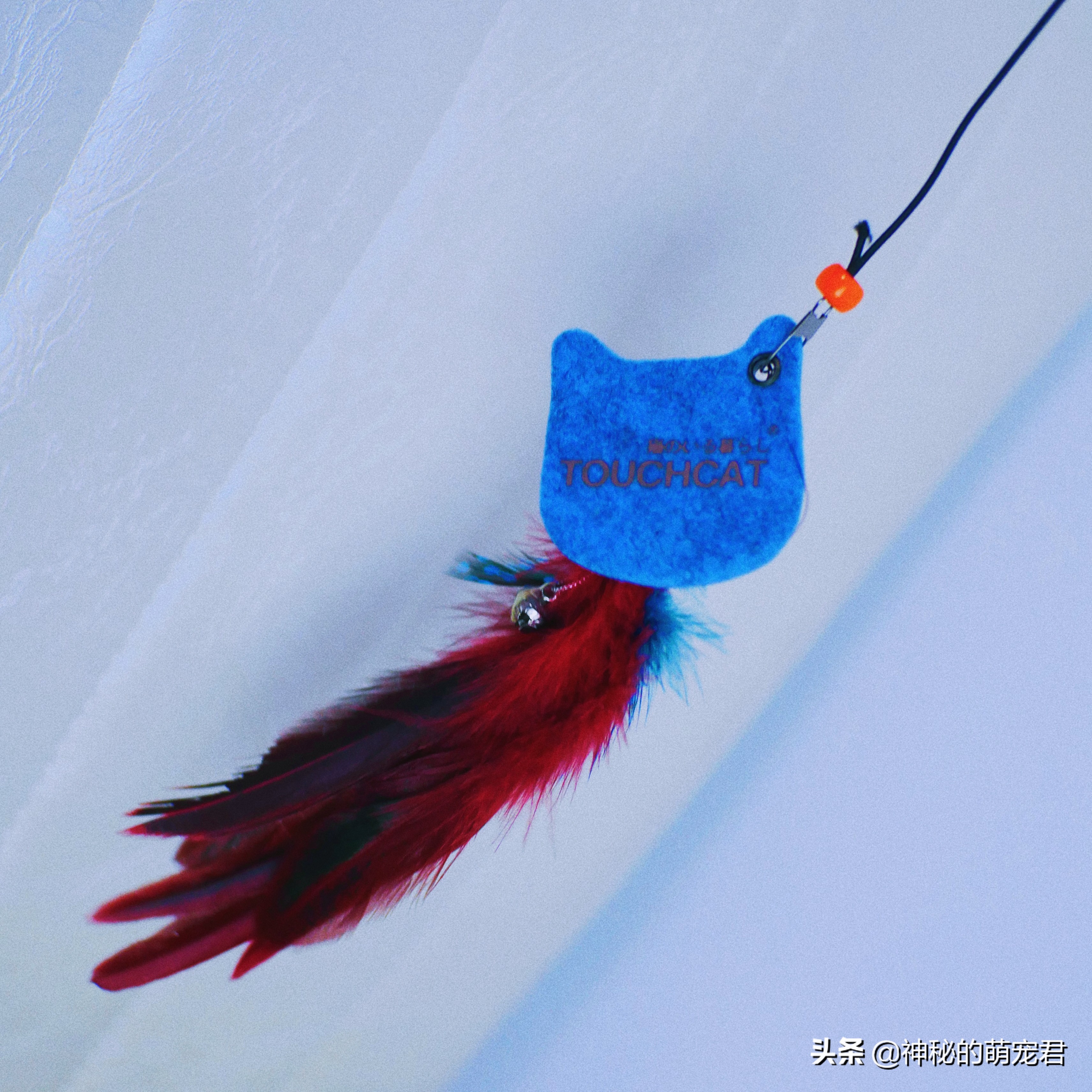 什么逗猫棒猫咪会玩,怎么做猫咪玩的逗猫棒