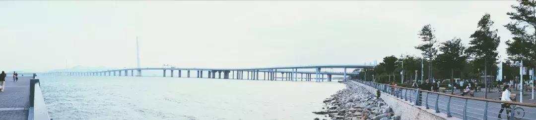 深圳湾公园这里有什么好吃的,深圳湾在哪里