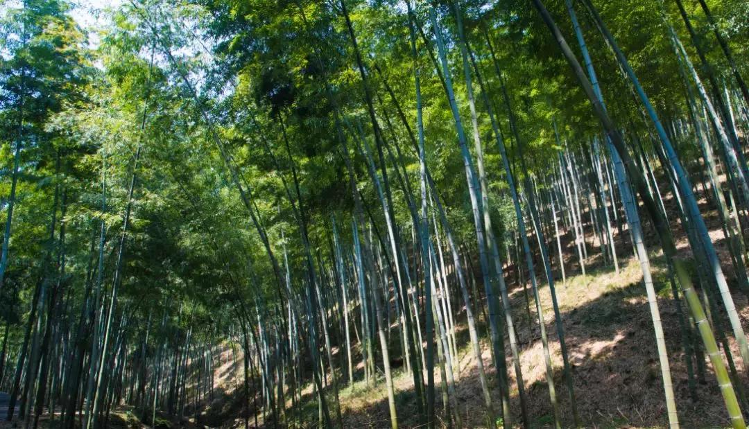 节后不想上班如何缓解节后综合症,支招节后综合征上班没精神怎么办