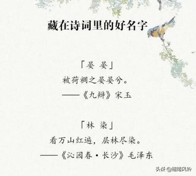 女取名字楚辞,女取诗经男取楚辞好名字源于典故