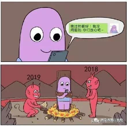 铲屎官的狗是什么品种,狗铲屎官要知道的小知识