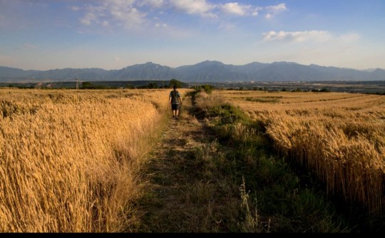 田小娥最后跟谁了,田小娥说的最后一句话