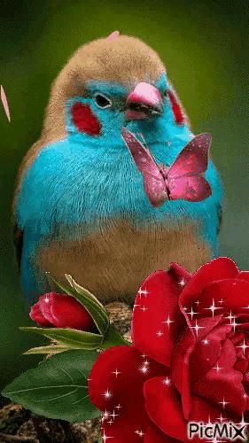 这是我见过最美的风景吗,这是我见过的最美的风景英语