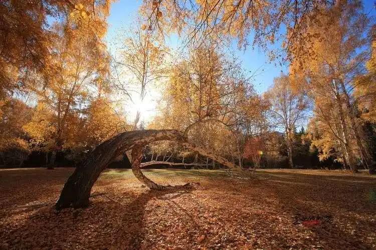 一叶访谈|非常时期，听侃侃轻唱流年