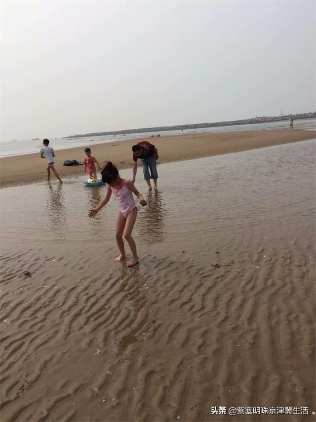 海边可以赶海吃住玩一体的农家院,秦皇岛黄金海岸牧海农家院