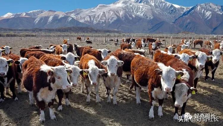 距离中国最遥远的城市,距离中国最遥远的地方是哪个国家