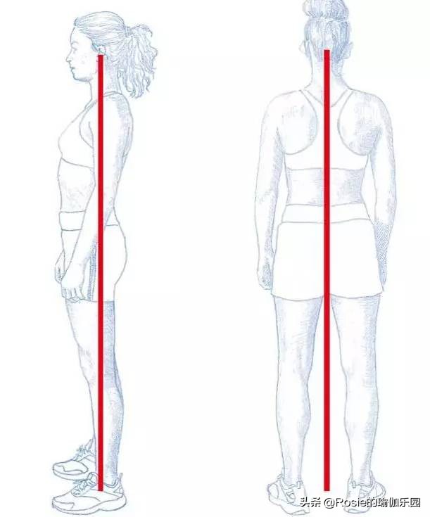 锻炼小腿内侧肌肉改善O型腿,小腿粗大腿壮如何变细腿
