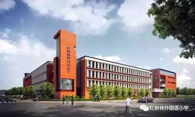 宝安私立学校积分最新排名,宝安区小学报考积分排行榜