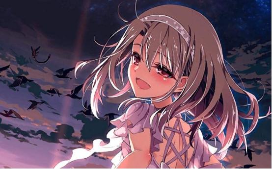 卫宫家满门英灵解说,卫宫家满门英灵