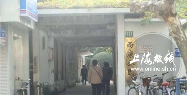 魔都100：藏在静安市中心最袖珍的公园重温老上海的儿时记忆