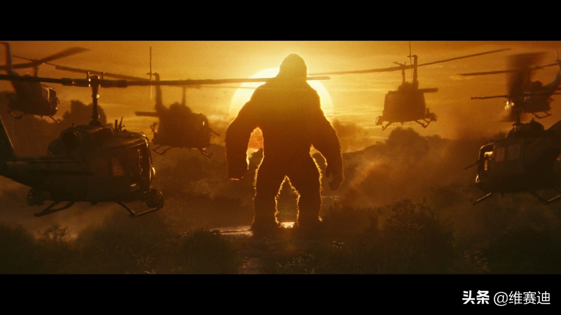 金刚怪兽宇宙,怪兽宇宙漫画里金刚有什么能力