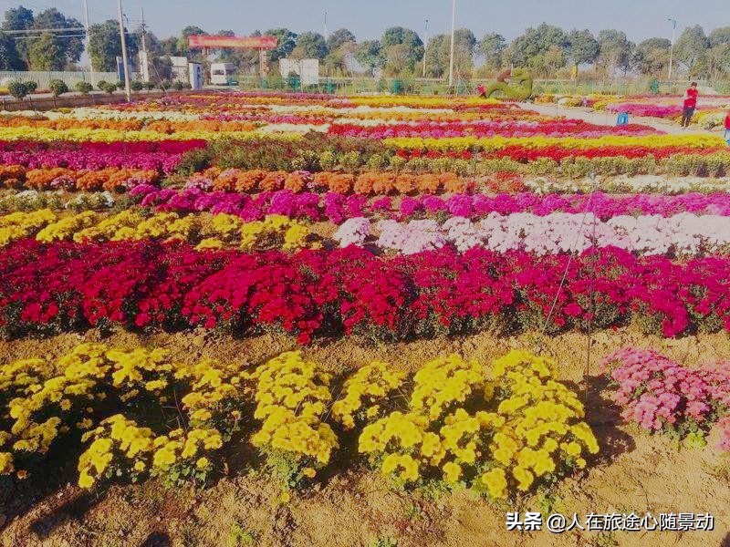 南京江宁十大景点推荐,南京江宁区晚上必去景点推荐