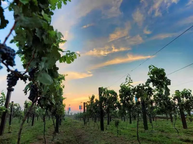 童话小镇在哪里,山东梦幻童话小镇在哪里