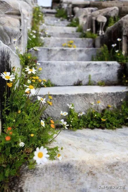 经典作文素材100字,经典作文素材集锦21-30则