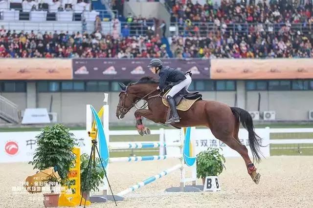 双流未来规划如何,双流最近发展比较好的片区