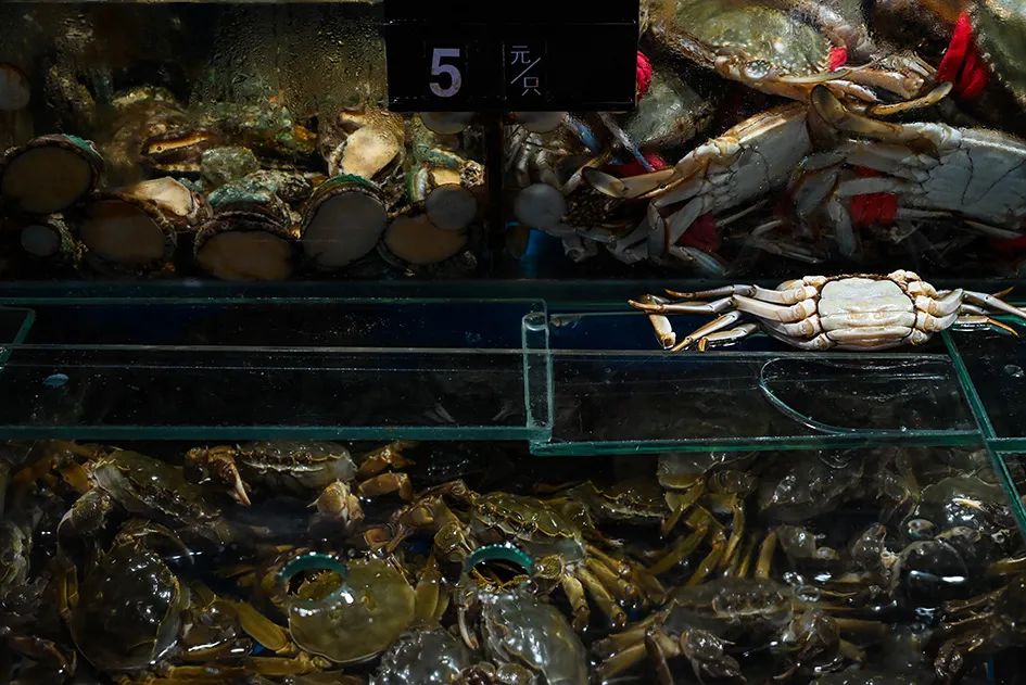 北京南城最大的早市在哪里,北京大兴早市哪个最好